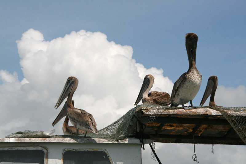 Mexico & Guatemala 2010 - 0995